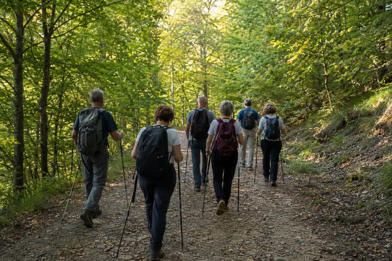 Groupe de randonneurs sur un chemin forestier, sacs à dos et bâtons de marche